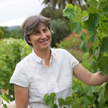 Domaine De La Tour Du Bon